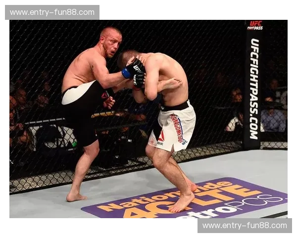 笼中神迹与不败神话：解析UFC“小鹰”哈比布的统治级美学